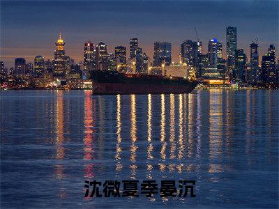 沈微夏季晏沉精彩小说赏析全文 沈微夏季晏沉热门小说免费阅读