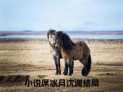 席冰月沈渊的小说全文免费阅读无弹窗，主角名字是：席冰月沈渊的小说在线免费阅读大结局