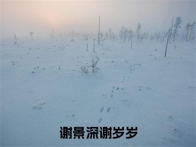 谢景深谢岁岁精选好书-谢景深谢岁岁无删减小说在线阅读（谢景深谢岁岁全文免费阅读）