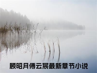 顾昭月傅云宸（顾昭月傅云宸）全文免费阅读无弹窗大结局_(顾昭月傅云宸小说免费阅读)最新章节_笔趣阁