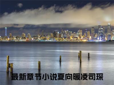 夏向暖凌司琛小说全文(夏向暖凌司琛)全文免费阅读无弹窗大结局_ 夏向暖凌司琛全文免费阅读最新章节列表