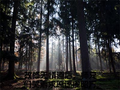 虞昭方成朗（改修无情道后，师兄们哭着求原谅）全文免费在线阅读_虞昭方成朗全文阅读_笔趣阁（改修无情道后，师兄们哭着求原谅）