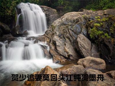 贺少追妻莫回头小说全文免费阅读无弹窗-江纯贺墨舟全章节阅读