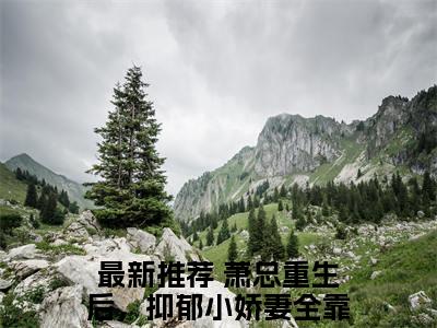 萧总重生后，抑郁小娇妻全靠哄（萧淮年韩锦昔小说）全文免费阅读无弹窗大结局_萧淮年韩锦昔小说最新章节列表