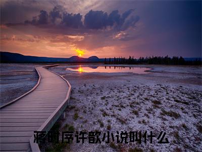 （蒋时序许歆）全文免费阅读无弹窗大结局_蒋时序许歆免费小说最新章节列表笔趣阁（蒋时序许歆）