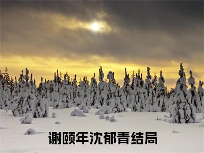 谢颐年沈郁青全文免费阅读无弹窗大结局，谢颐年沈郁青小说精彩免费试读