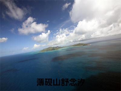 热门小说已完薄砚山舒念汐小说无弹窗大结局_薄砚山舒念汐全文阅读大结局