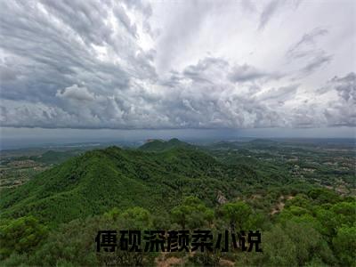 主角为傅砚深颜柔的小说叫什么-最新小说全文阅读