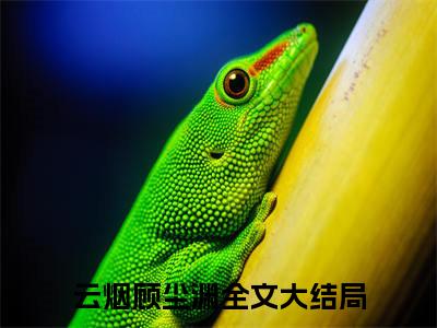 云烟顾尘渊全文免费阅读无弹窗大结局_云烟顾尘渊章节列表_笔趣阁
