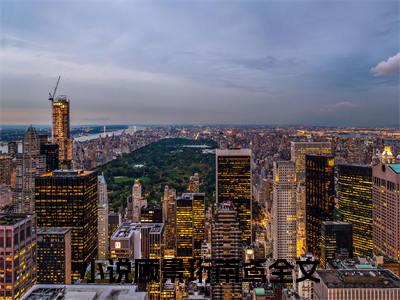 顾景珩南鸢（顾景珩南鸢）全文免费阅读无弹窗大结局_(顾景珩南鸢)最新章节列表_笔趣阁