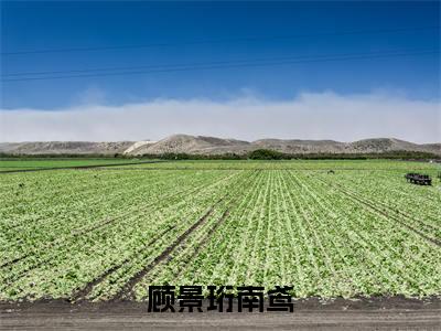 (热推新书)顾景珩南鸢小说在线分享-（顾景珩南鸢）小说全文免费阅读_顾景珩南鸢最新章节列表_笔趣阁