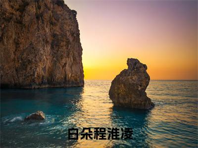 白朵程淮凌小说已完结（白朵程淮凌）全文免费阅读无弹窗大结局_白朵程淮凌最新章节列表（白朵程淮凌）