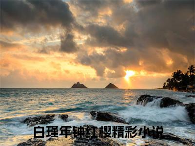 高赞小说白瑾年钟红樱（白瑾年钟红樱小说免费阅读）完结阅读_白瑾年钟红樱小说免费阅读免费看全文