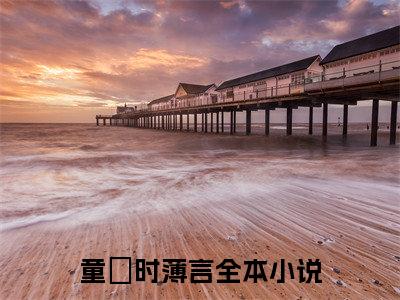 童婳时薄言全文免费阅读无弹窗大结局_童婳时薄言免费阅读最新章节列表_笔趣阁（童婳时薄言）