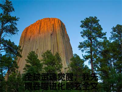 全球武魂觉醒，我无限吞噬进化顾玄小说全文（全球武魂觉醒，我无限吞噬进化顾玄）-全球武魂觉醒，我无限吞噬进化顾玄免费阅读目录