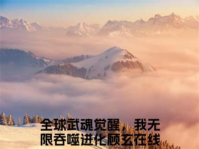 全球武魂觉醒，我无限吞噬进化顾玄小说最新章节-全球武魂觉醒，我无限吞噬进化顾玄在线免费阅读