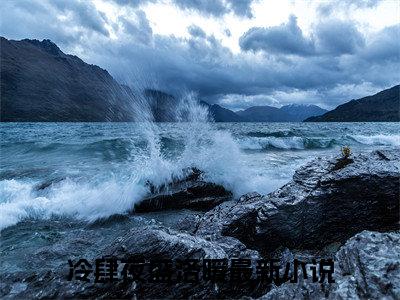 冷肆夜盛洛暖是哪部小说的主角，冷肆夜盛洛暖免费阅读全文大结局