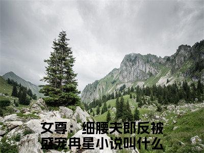 女尊：细腰夫郎反被盛宠冉星（女尊：细腰夫郎反被盛宠冉星）全文免费阅读无弹窗_女尊：细腰夫郎反被盛宠冉星最新小说_笔趣阁