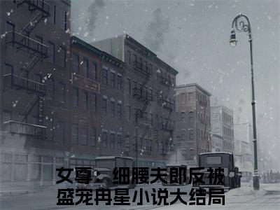 女尊：细腰夫郎反被盛宠冉星小说全文（女尊：细腰夫郎反被盛宠冉星）全文免费阅读无弹窗大结局_女尊：细腰夫郎反被盛宠冉星小说全文最新章节列表_笔趣阁(女尊：细腰夫郎反被盛宠冉星小说全文）
