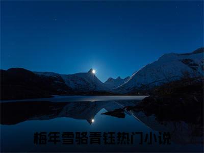 梅年雪骆青钰小说全文免费阅读-梅年雪骆青钰精选小说大结局阅读