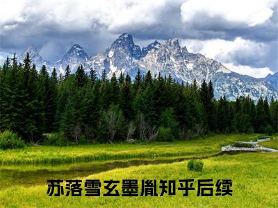 苏落雪玄墨胤全文（苏落雪玄墨胤小说）全文免费阅读无弹窗大结局_苏落雪玄墨胤免费最新章节列表_笔趣阁（苏落雪玄墨胤小说）