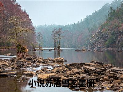 苏落雪玄墨胤（苏落雪玄墨胤）全文免费阅读无弹窗大结局_苏落雪玄墨胤全文在线阅读无弹窗