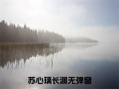 精选好书苏心璃长渊全文免费阅读无弹窗大结局_（苏心璃长渊）最新章节列表_笔趣阁（苏心璃长渊小说）