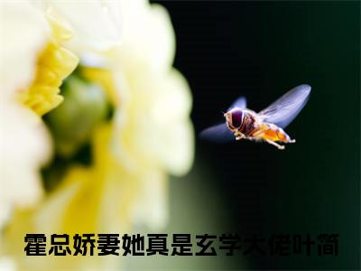 霍总娇妻她真是玄学大佬叶简免费阅读无弹窗（霍总娇妻她真是玄学大佬叶简）全文免费阅读无弹窗大结局_霍总娇妻她真是玄学大佬叶简最新章节列表_笔趣阁（霍总娇妻她真是玄学大佬叶简）