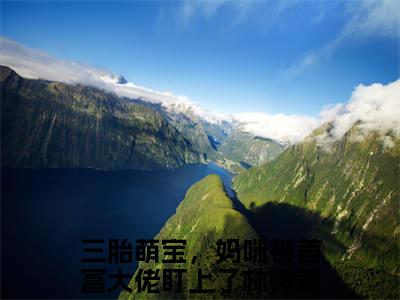 三胎萌宝，妈咪被首富大佬盯上了林薇小说全文（三胎萌宝，妈咪被首富大佬盯上了林薇）在线阅读-三胎萌宝，妈咪被首富大佬盯上了林薇全文免费阅读无弹窗大结局