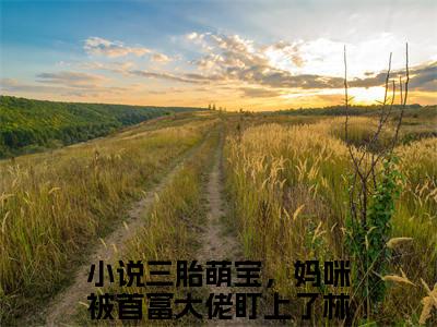 热门小说推荐三胎萌宝，妈咪被首富大佬盯上了林薇-三胎萌宝，妈咪被首富大佬盯上了林薇全文免费大结局