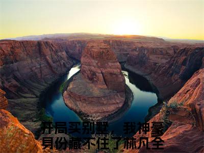 开局买别墅，我神豪身份藏不住了林凡小说全文免费阅读无弹窗大结局_（开局买别墅，我神豪身份藏不住了林凡免费阅读无弹窗）最新章节列表_笔趣阁