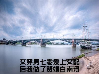 女穿男七零爱上女配后我做了赘婿白南浔(女穿男七零爱上女配后我做了赘婿白南浔)最新章节在线阅读-女穿男七零爱上女配后我做了赘婿白南浔已完结全集大结局小说