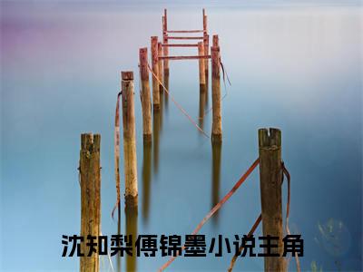 沈知梨傅锦墨（沈知梨傅锦墨）小说全文免费阅读无弹窗_（沈知梨傅锦墨）小说全文免费阅读_最新章节列表_笔趣阁