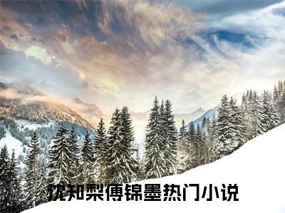沈知梨傅锦墨阅读无弹窗大结局_沈知梨傅锦墨穿越小说免费阅读_笔趣阁