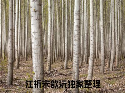 江祈宋歆沅（江祈宋歆沅）全文免费阅读大结局-江祈宋歆沅小说全文免费阅读最新章节列表