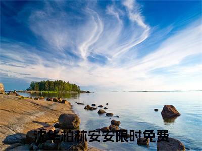 沈华柏林安安（沈华柏林安安）全文在线阅读无弹窗大结局_（沈华柏林安安）沈华柏林安安最新章节列表_笔趣阁（沈华柏林安安）