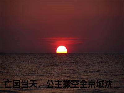 亡国当天，公主搬空全京城沈婳(亡国当天，公主搬空全京城沈婳)全文免费阅读大结局_亡国当天，公主搬空全京城沈婳最新章节列表_笔趣阁（亡国当天，公主搬空全京城沈婳）
