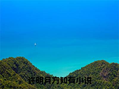 许明月方知有（许明月方知有）全文免费阅读无弹窗大结局_许明月方知有免费阅读无弹窗