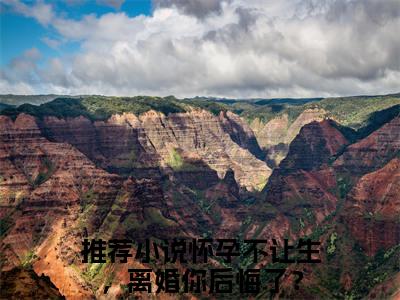 怀孕不让生，离婚你后悔了？全文免费阅读_（祁尘亦裴初意免费阅读无弹窗）怀孕不让生，离婚你后悔了？最新章节列表笔趣阁