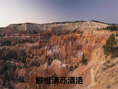 你出现在我生命里（顾惟清苏清洛）小说全文免费阅读无弹窗_（顾惟清苏清洛全文阅读）你出现在我生命里免费阅读大结局