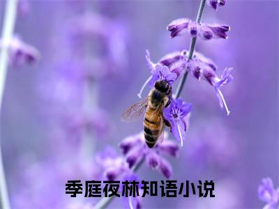 季庭夜林知语(季庭夜林知语）小说全文免费阅读无弹窗大结局_季庭夜林知语全文免费阅读
