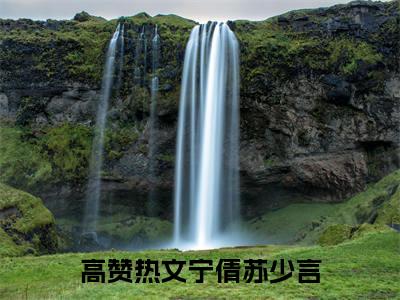 宁倩苏少言阅读无弹窗大结局_宁倩苏少言穿越小说免费阅读_笔趣阁