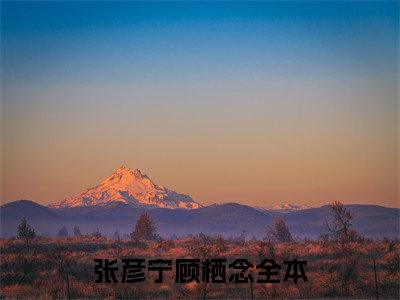 张彦宁顾栖念(张彦宁顾栖念)全文免费阅读无弹窗大结局_张彦宁顾栖念最新章节列表