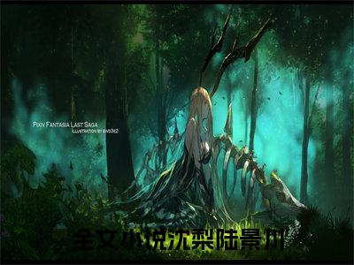 沈梨陆景川全文免费阅读无弹窗大结局_沈梨陆景川（姐姐抢亲，随军海岛我赢麻）小说结局免费阅读（姐姐抢亲，随军海岛我赢麻）