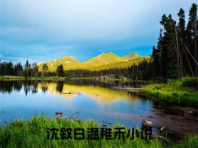 沈叙白温稚禾书名是《沈叙白温稚禾》在线赏析_沈叙白温稚禾txt小说阅读_沈叙白温稚禾在线阅读笔趣阁