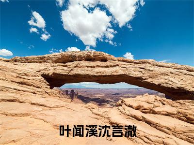 叶闻溪沈言澈最新完结小说阅读-叶闻溪沈言澈小说收藏阅读