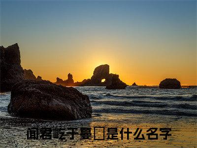 满分小说（闻君屹于蔓瑆）全文免费阅读 闻君屹于蔓瑆言情小说讲的是什么