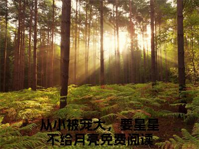 慕岁安顾望北（从小被宠大，要星星不给月亮）精选热门小说-小说（慕岁安顾望北）从小被宠大，要星星不给月亮全文免费阅读最新章节列表