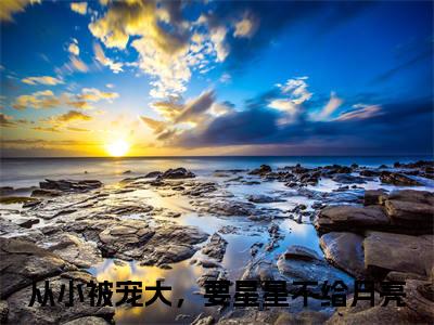 从小被宠大，要星星不给月亮大结局全文免费阅读最新章节_慕岁安顾望北大结局