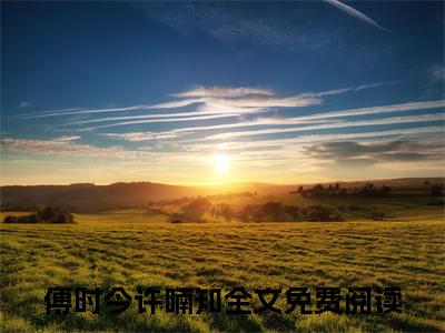 热门小说推荐傅时今许喃知-傅时今许喃知全文免费大结局